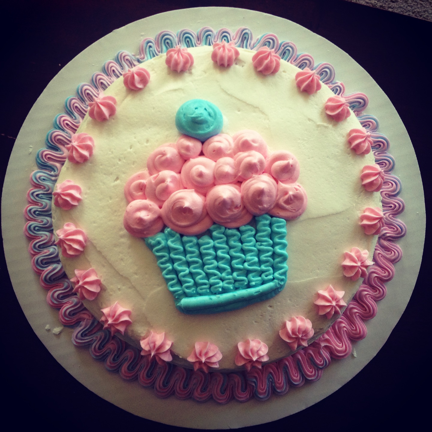 The Full Time Wife: My First Wilton Decorated Cake