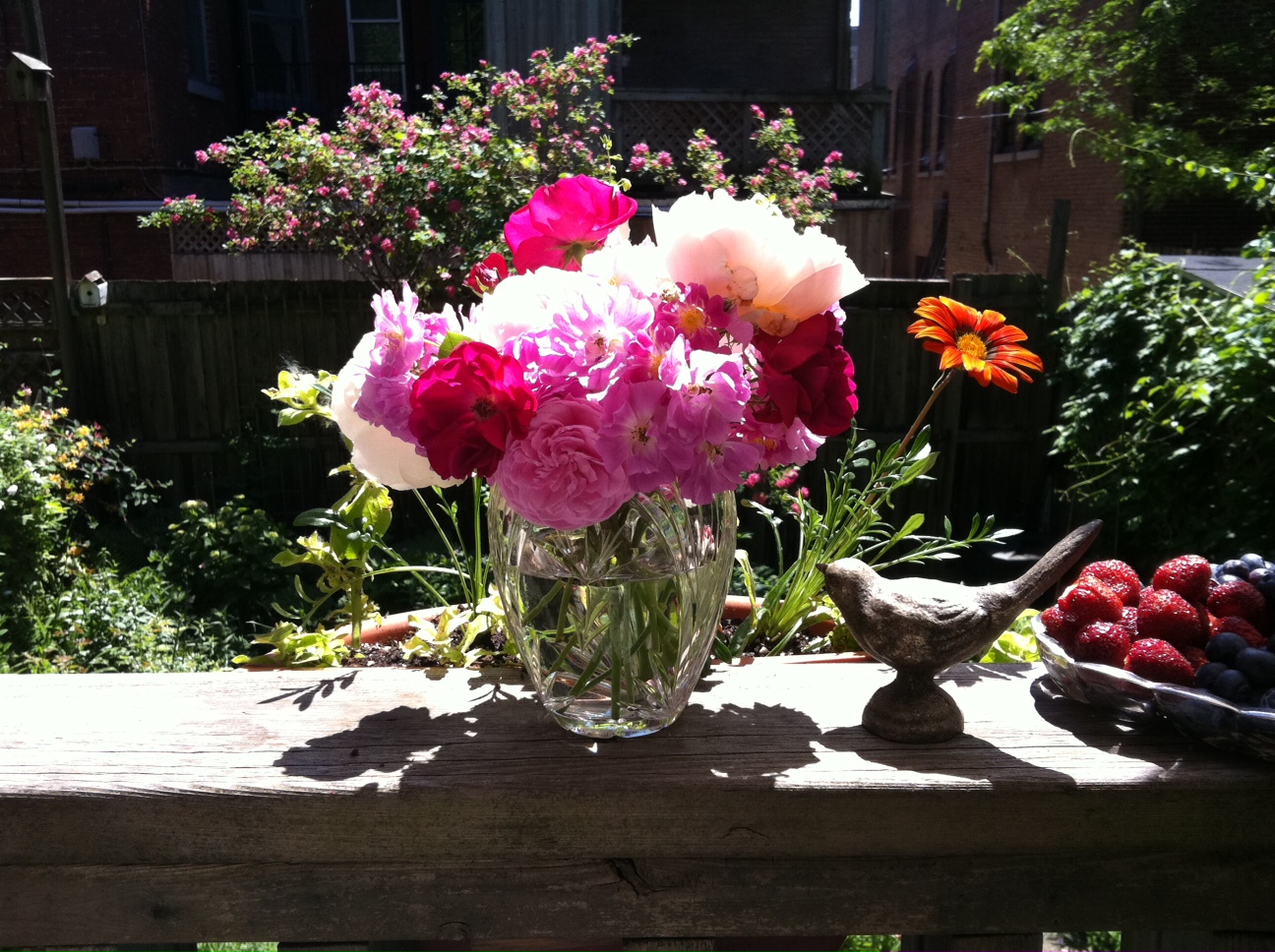 Purple Blooms For The Fall Garden Ramblings From A Desert Garden