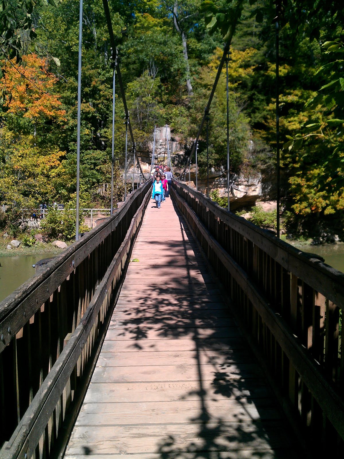 Suspension Bridge at Turkey Run State Park