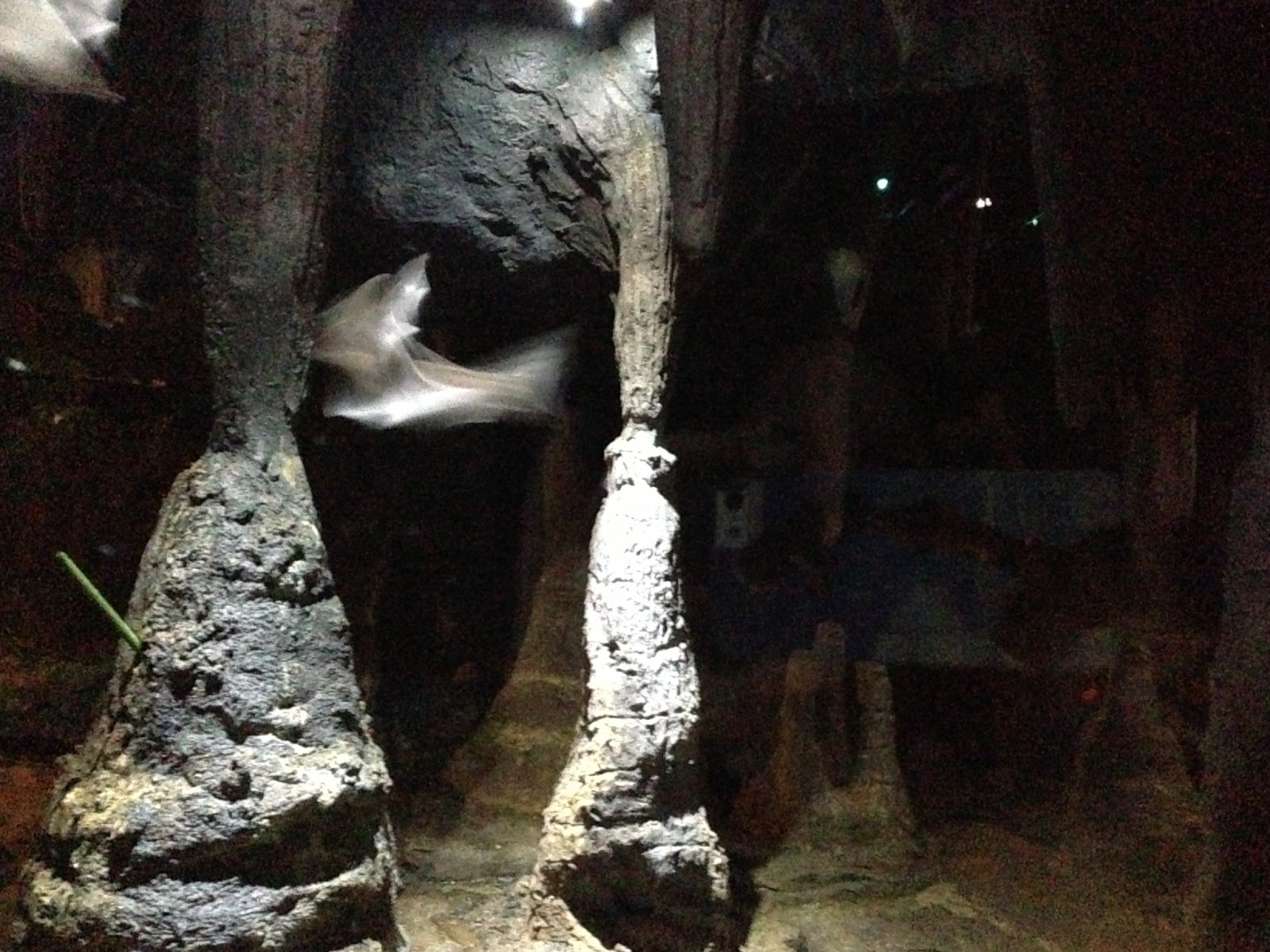 ZSL London Zoo ChelseaMamma