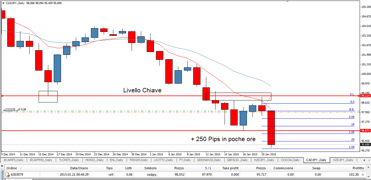 Francesco forex santone