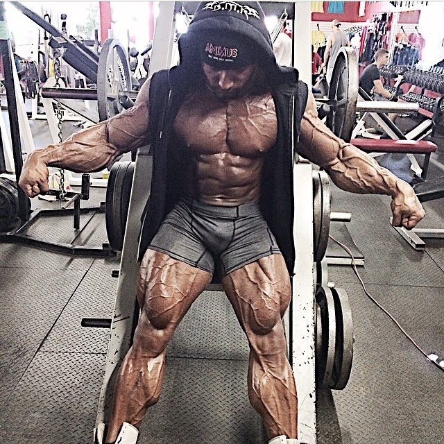 Bodybuilding Freak Carlito XXXL Brings Vascularity to New Heights