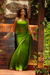 Richa Gangopadhyay Hot saree Photos