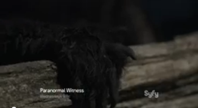 paranormal witness poppys revenge