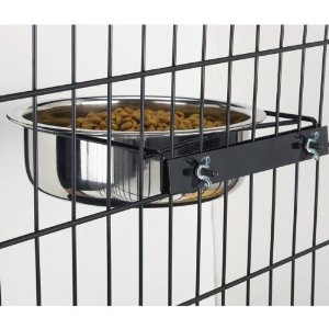 Proselect Stainless Steel Coop Cup 16Oz-PetEdge 