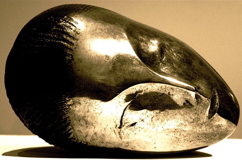 Bird in space analysis image