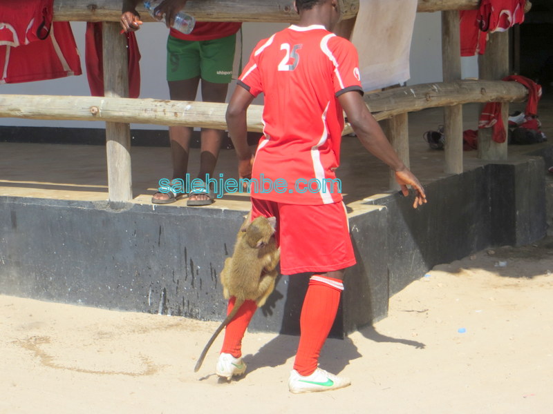 NGEDERE AVAMIA KAMBI SIMBA, AANZISHA URAFIKI NA BABA UBAYA - SALEH JEMBE