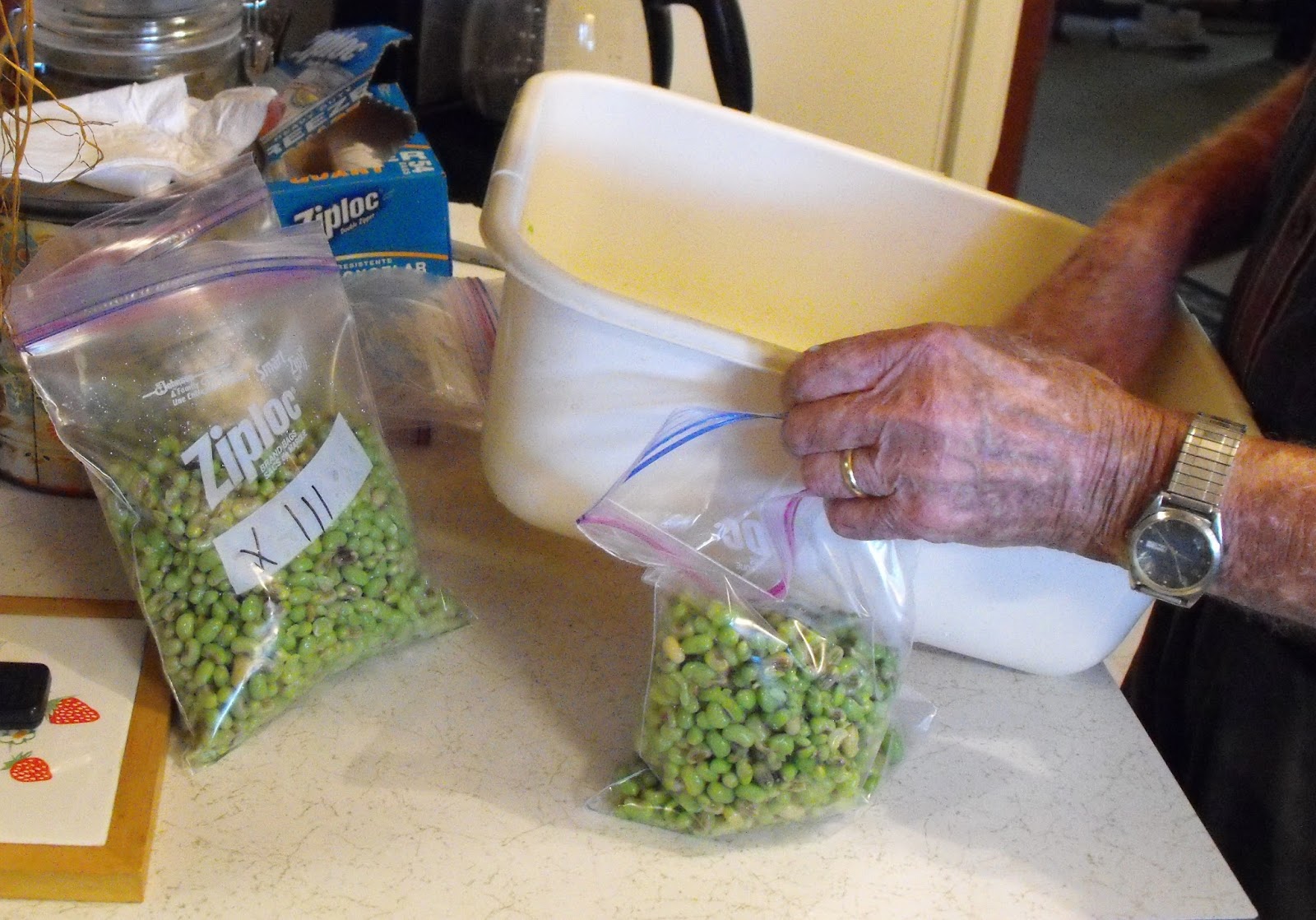 Secrets of a Southern Kitchen How to Freeze Purple Hull Peas