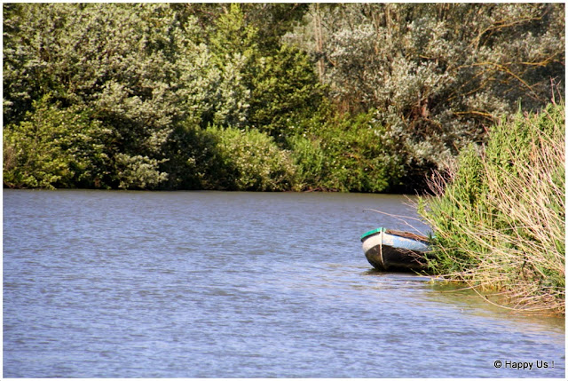 Marais audomarois