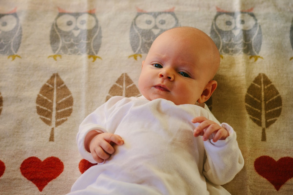 newborn family photography Northernrivers