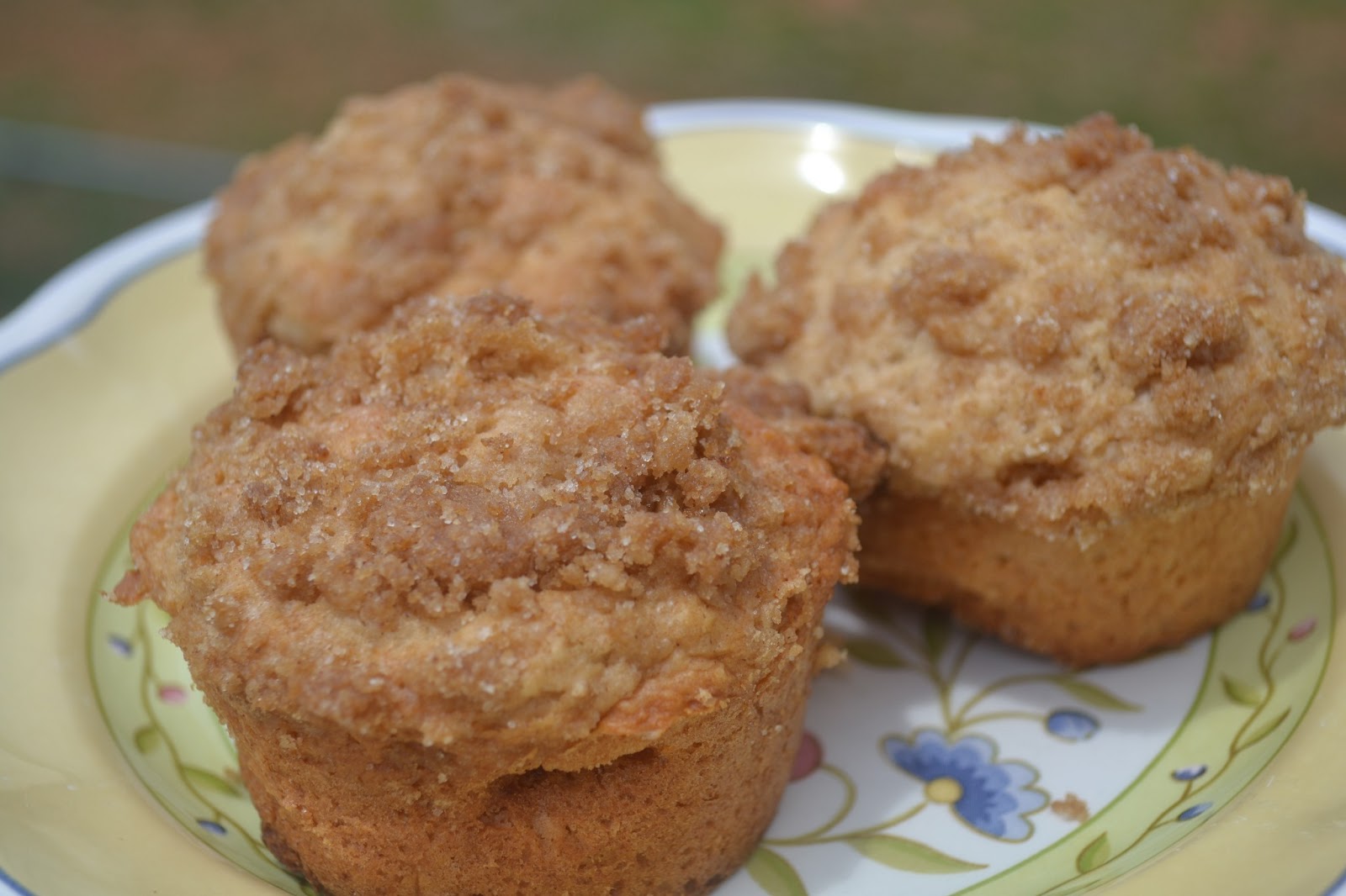 Applesauce Muffins with Cinnamon Streusel Topping