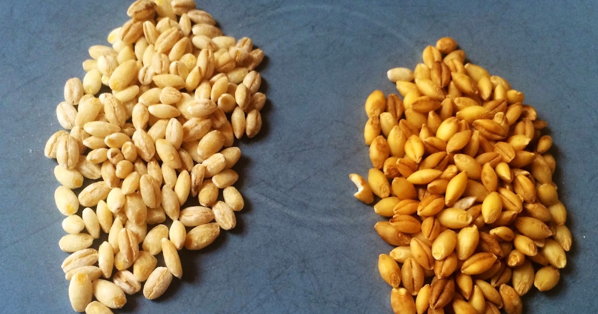 Food For Thought Summer Barley Salad and Hulled vs. Pearled Barley