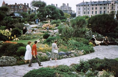 Rock Gardens