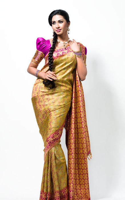 gayathiri wonderful saree ad collections 2012 glamour  images