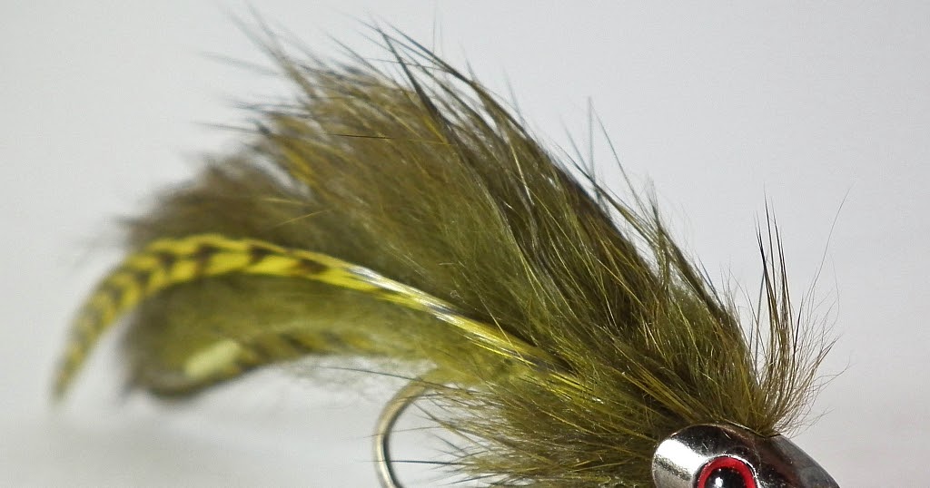 Streamer Fish Fishes