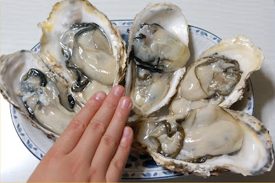 津軽海峡の牡蠣