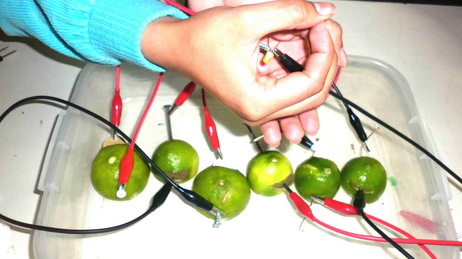 BATERIA DE LIMON BATERIA DE LIMON