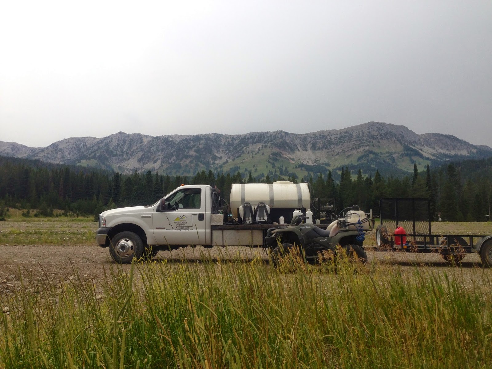 Montana Spraying Company; Weed Control in Bozeman, MT The White Pine