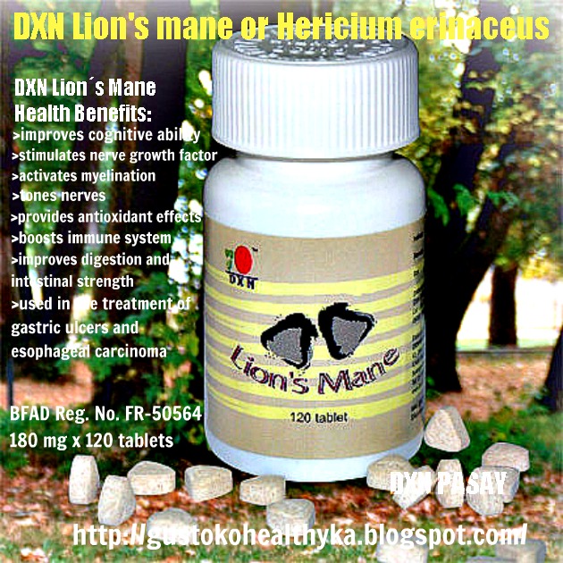 Do You Want to Get Good Grades in Your EXAM? Discover DXN LION'S MANE