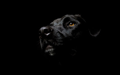 Black Wallpaper hd Black Wallpaper hd