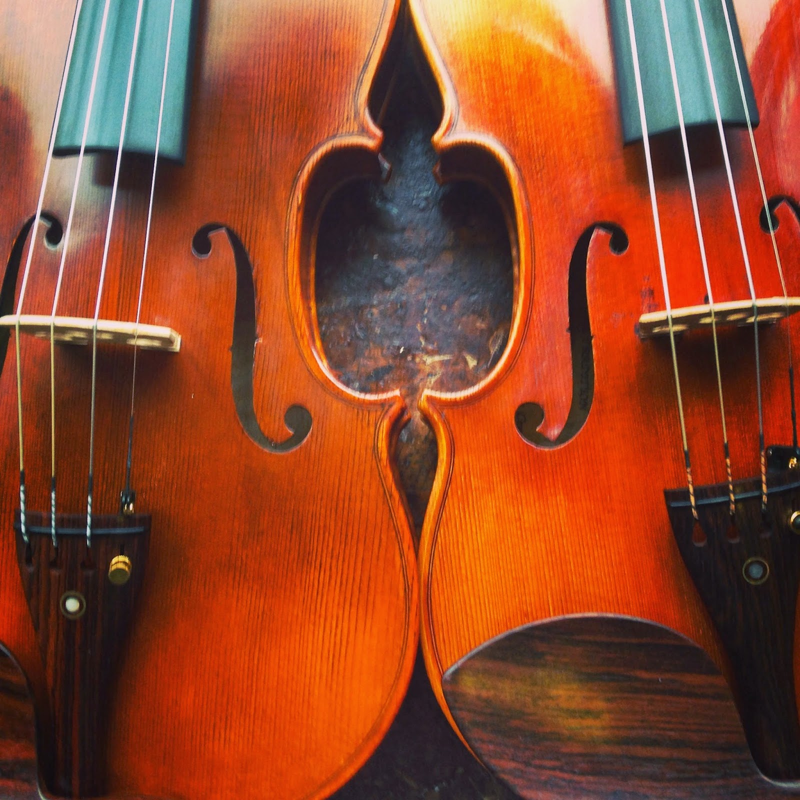 The Violin Shop Violins New, Used, Vintage, Old, or Antique. What's Best?