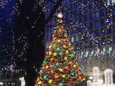 72_daley_plaza_christmas_tree.jpg
