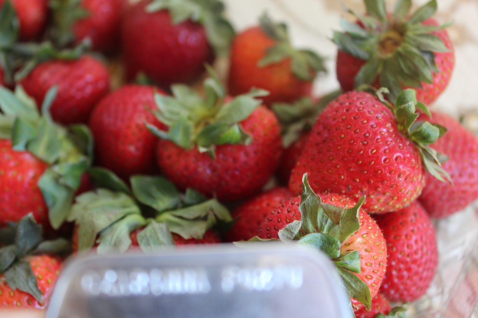 AP Bio Photo Collection Fruit Fleshy With Seed