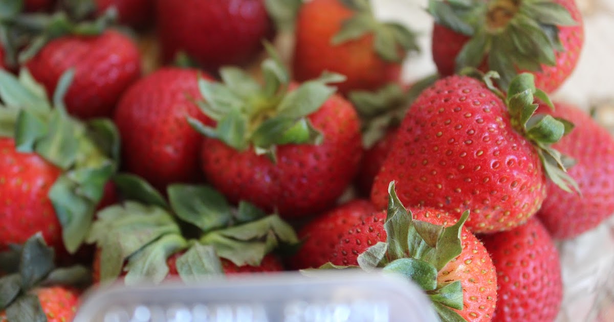 AP Bio Photo Collection Fruit Fleshy With Seed