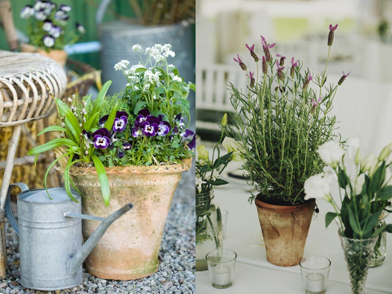 Recicla tus tiestos viejos, 10 ideas para dar vida al jardÃn ...