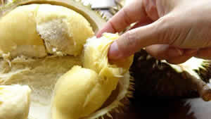 Peluang Usaha Kuliner Dunia Durian Peluang Usaha Kuliner Dunia Durian