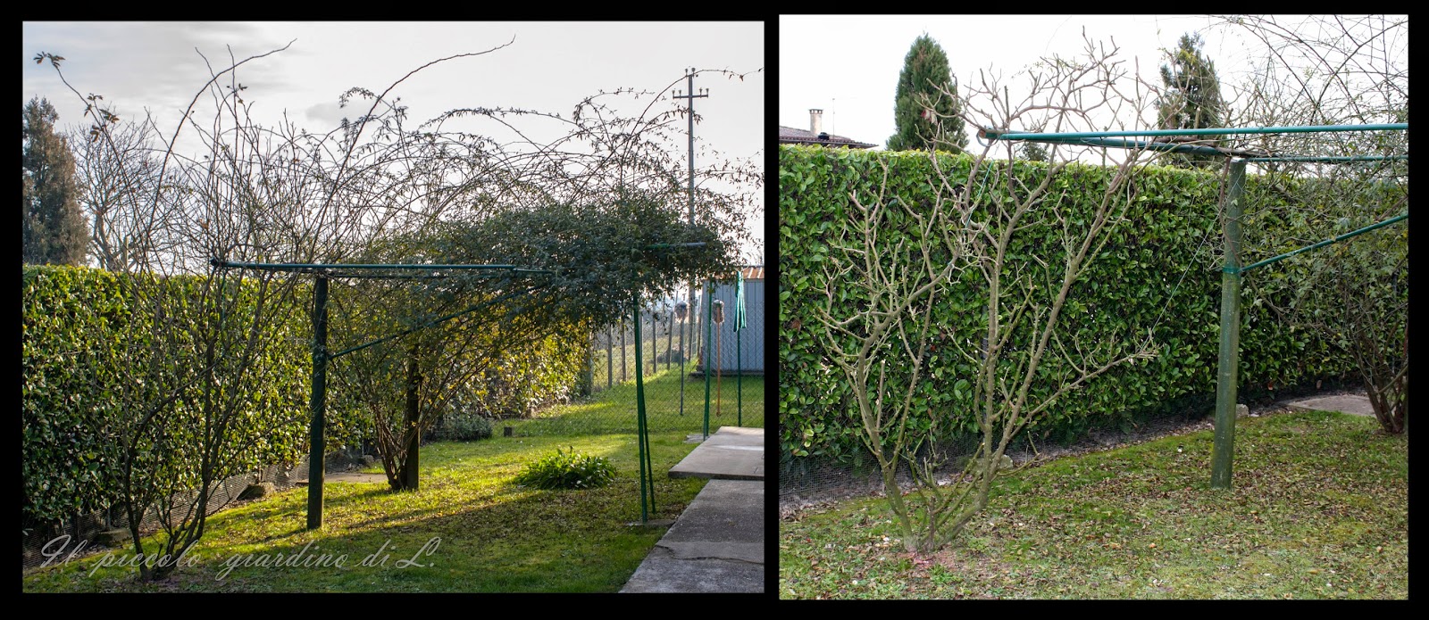 Giardini Prima E Dopo il piccolo giardino di l prima e dopo il giardino dopo Giardini Prima E Dopo il piccolo giardino di l prima e dopo il giardino dopo