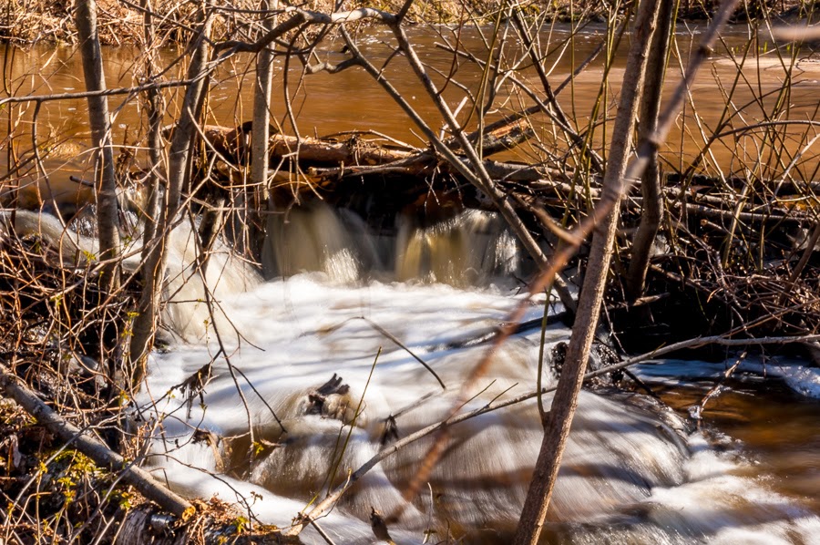 Одиночные катания