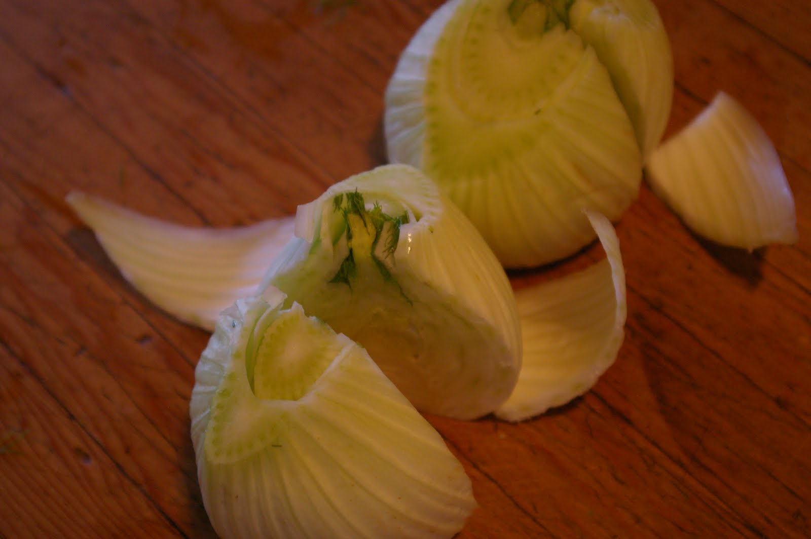 The Worthy Cook Braised Fennel with White Wine & Cream
