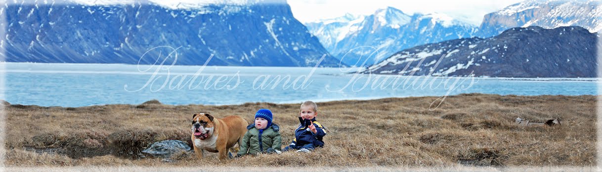 Babies and Bulldogs