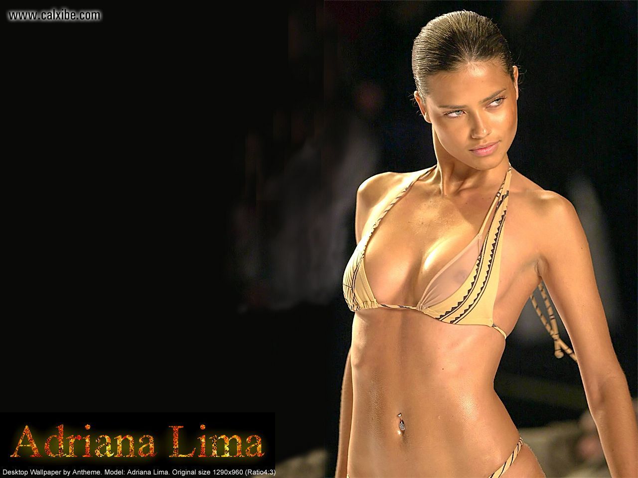 http://4.bp.blogspot.com/-U5CebYP5z2c/TfVflgv5qzI/AAAAAAAABoE/0wM2IxXEPzI/s1600/Adriana_Lima_wall_anth02.jpg