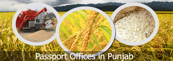 Passport-Offices-in-Punjab Passport-Offices-in-Punjab