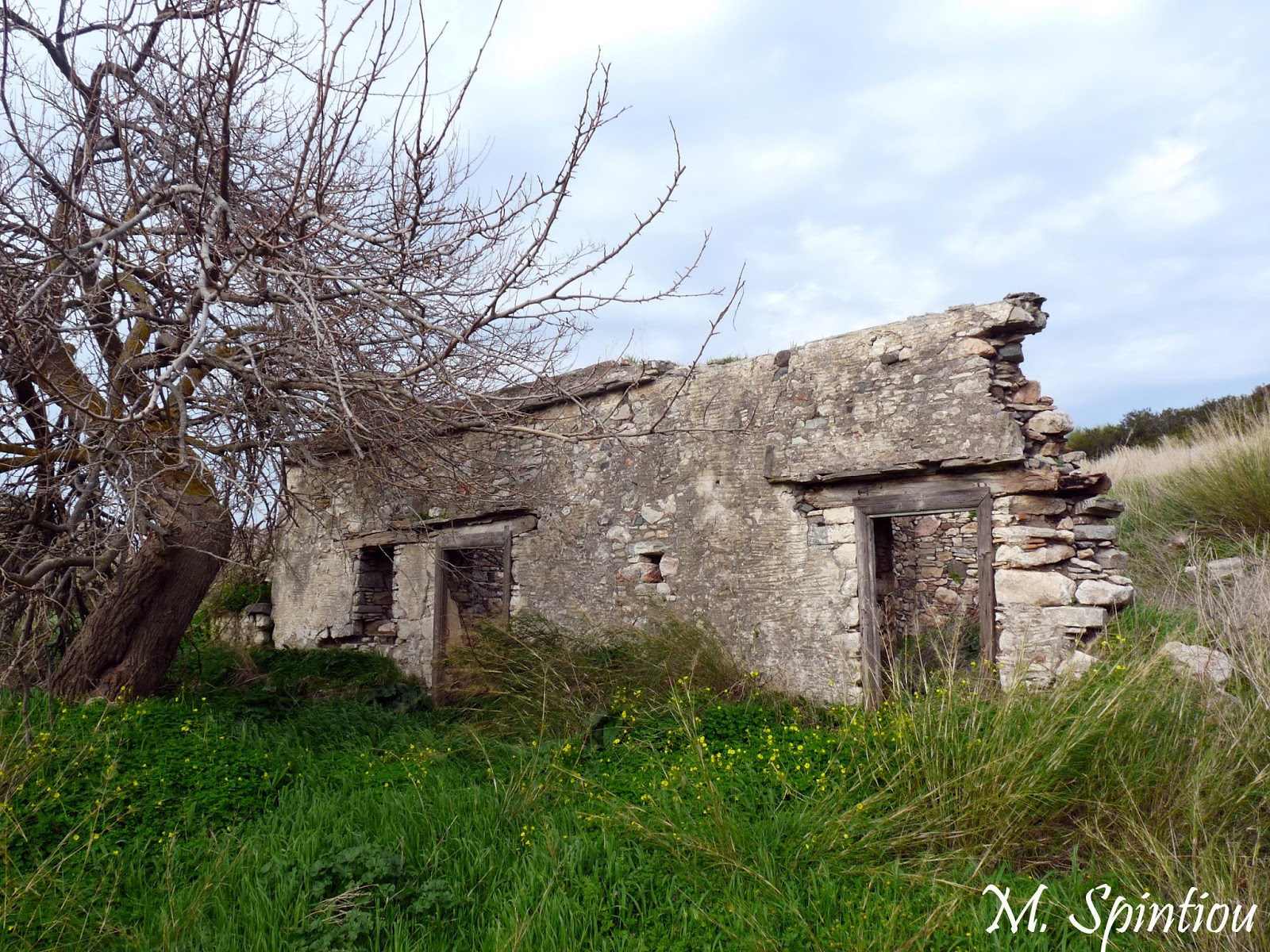 Αποτέλεσμα εικόνας για χωριο νανων ροδος