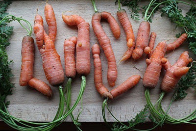 Carrot the curvy Easy Chicken