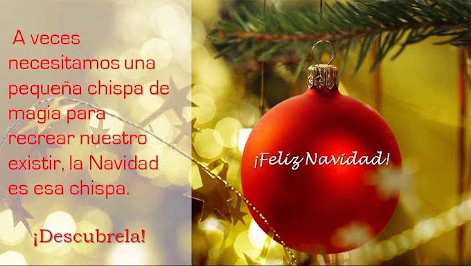 Deseándoles una Feliz Navidad 