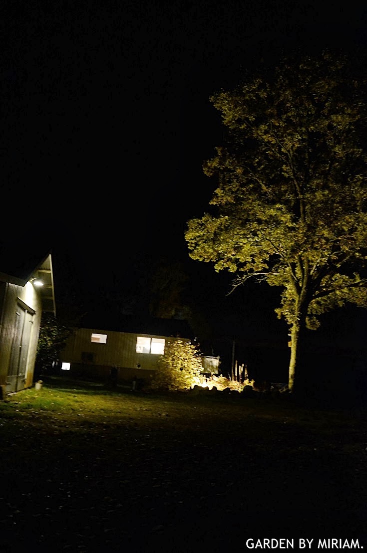 Garden by miriam: oktober 2013