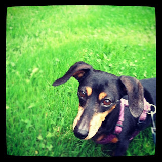 #designthoughts1 on #Instagram