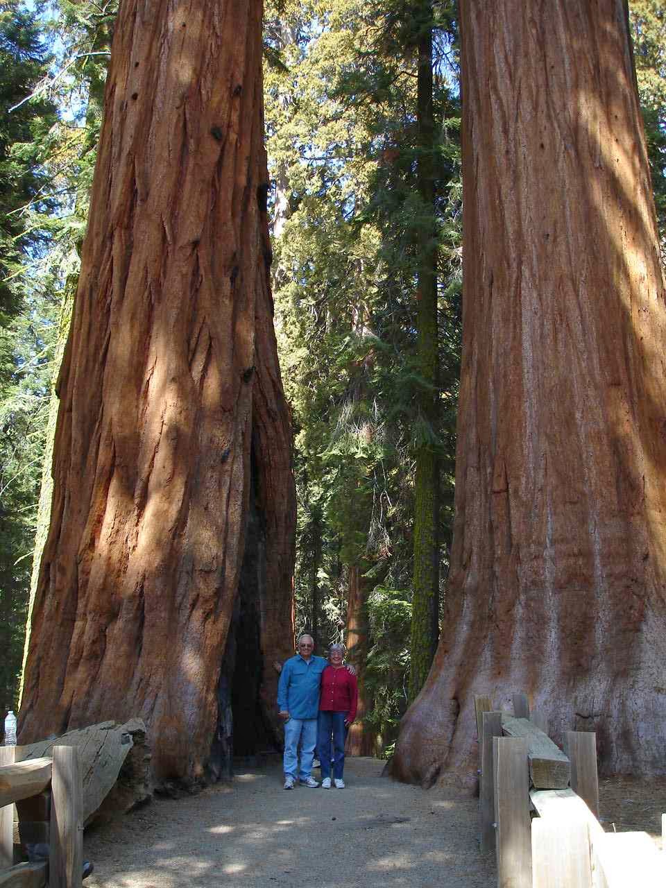 kings canyon national pk single mature ladies Home - welcome to toshiba - toshiba's start experience including trending news, entertainment, sports, videos, takeaways from the us national soccer team win. kings canyon national pk single mature ladies Home - welcome to toshiba - toshiba's start experience including trending news, entertainment, sports, videos, takeaways from the us national soccer team win.