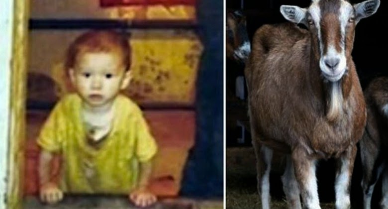 Dibesarkan Seekor Kambing