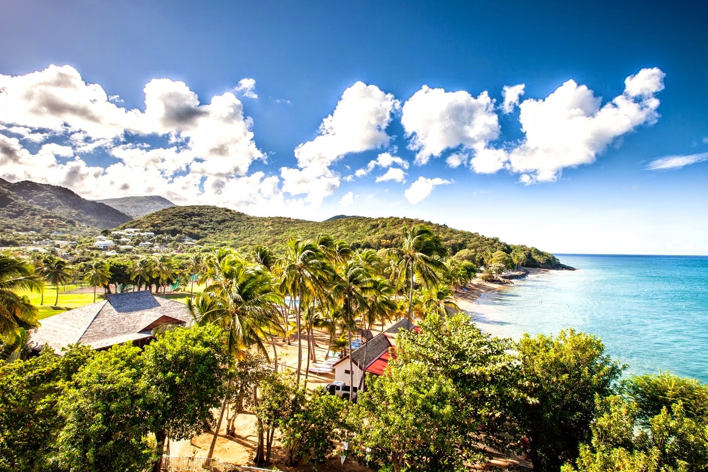 rencontre avec les dauphins martinique