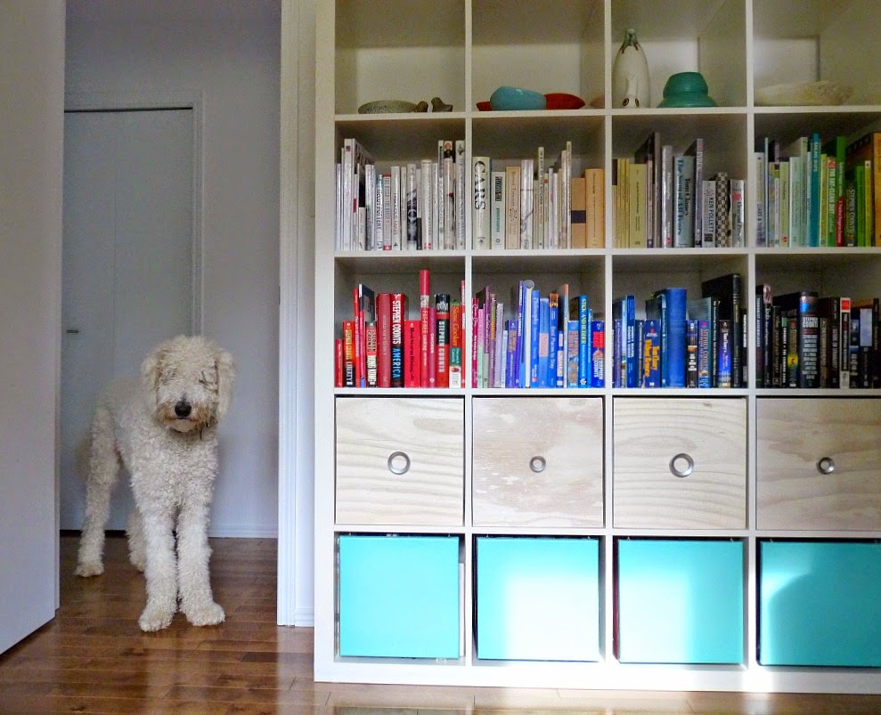 DIY Plywood Magazine Files Dans le Lakehouse