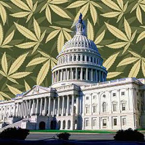 câmara federal dos EUA leis de maconha