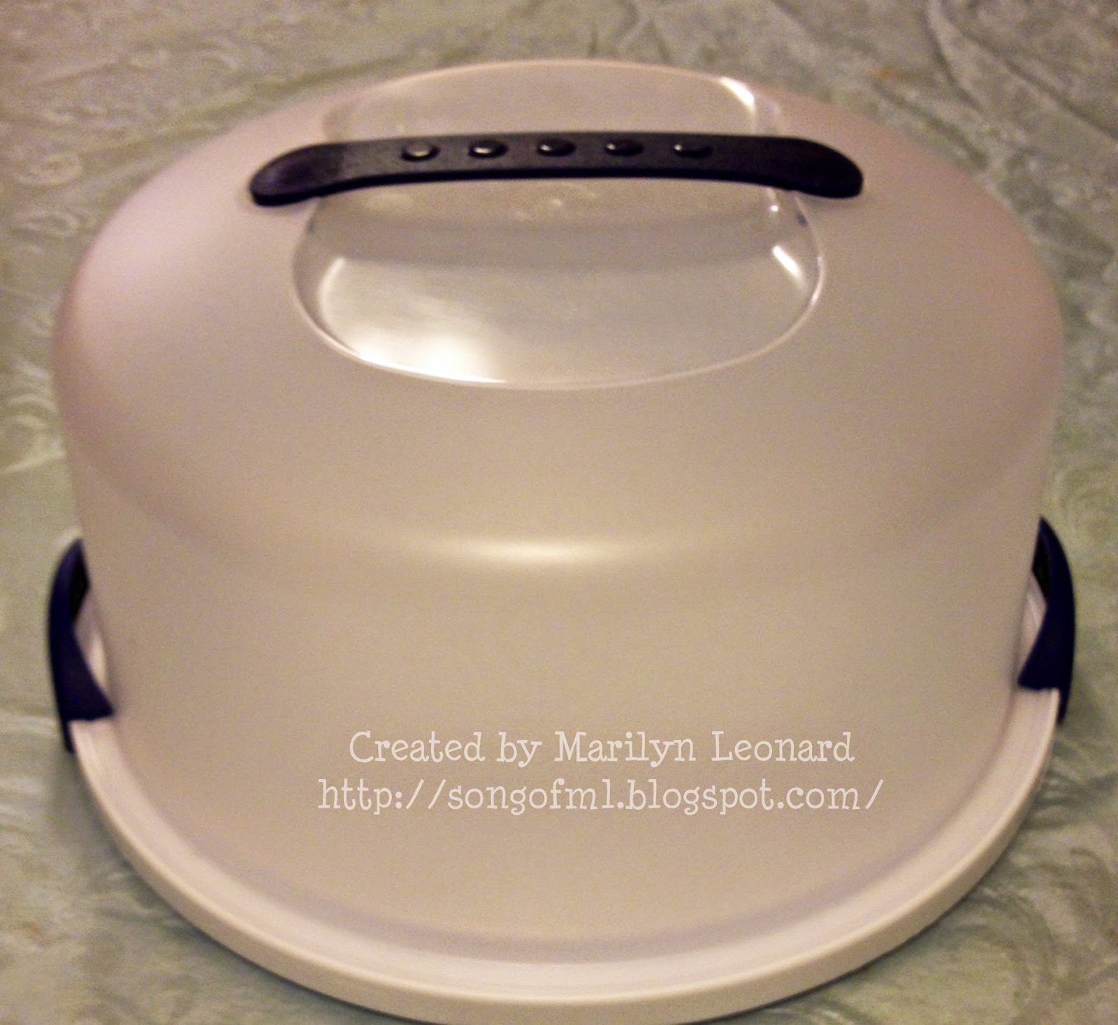  Marilyn's Crafts DIY Cake Carrier