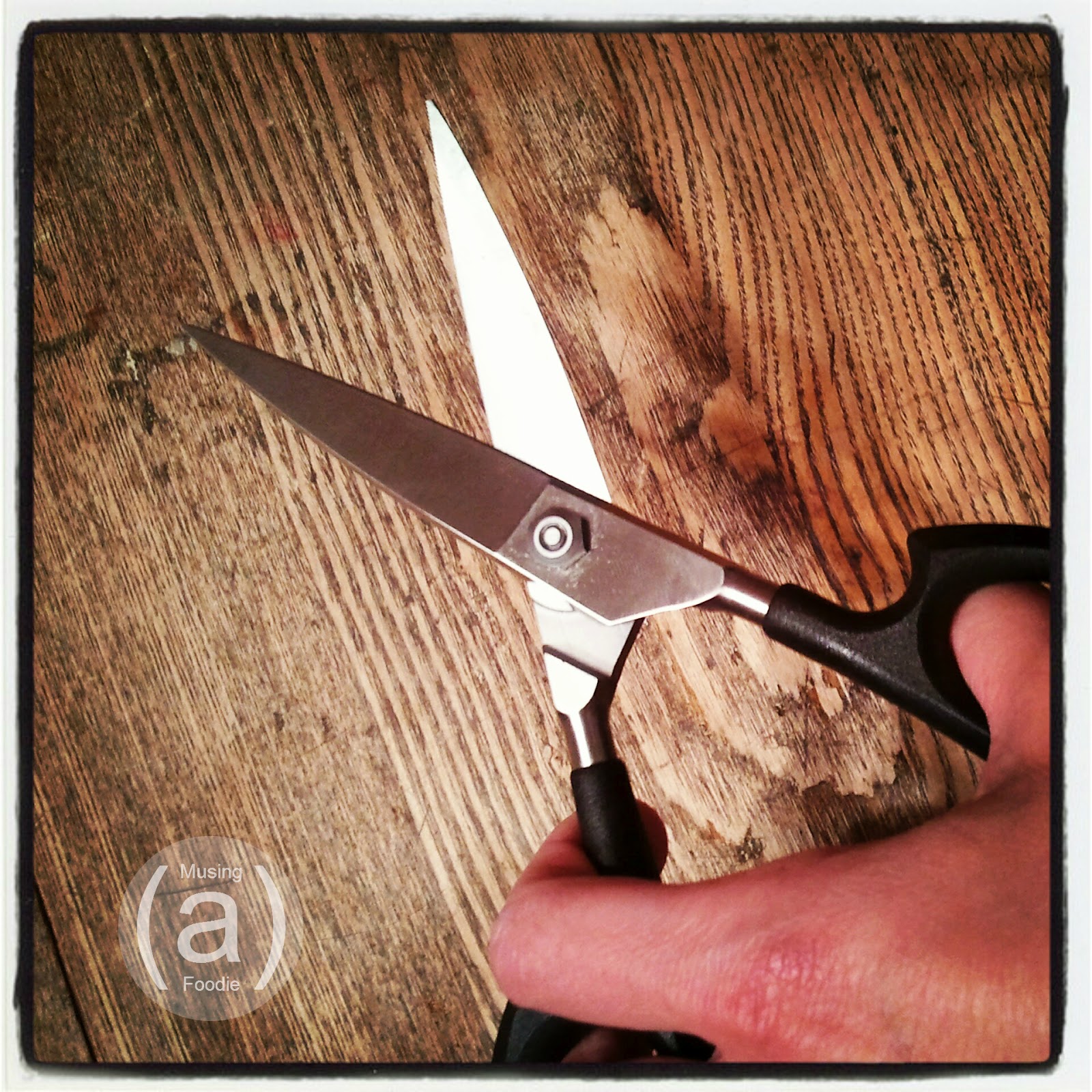 2 Great Uses for Kitchen Shears + CUTCOCutlery Giveaway! (a)Musing