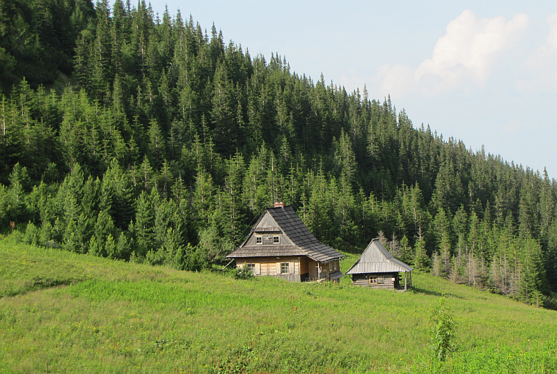 Dolina Gąsienicowa.