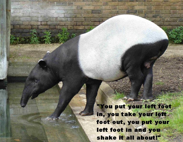 I Love Sains Hewan Langka Yang Hampir Punah